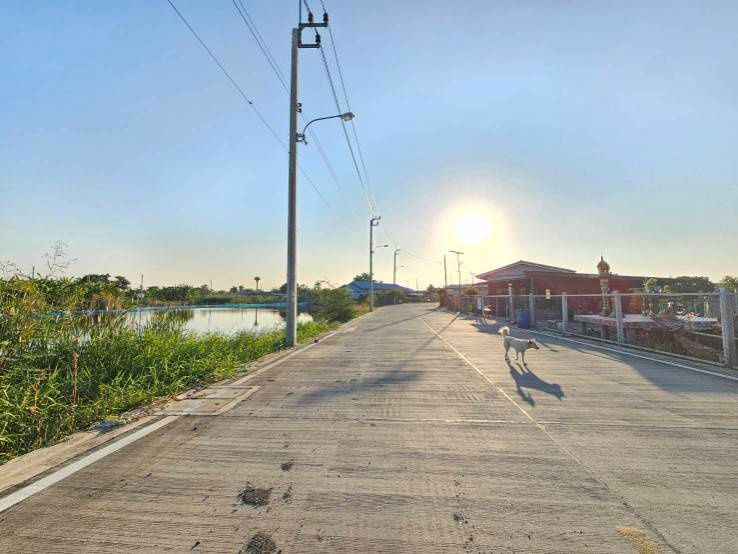 รูป ขายที่ดิน ทำเลดี ราคาถูก ใกล้สนามบินสุวรรณภูมิ - รูปที่ 6/10