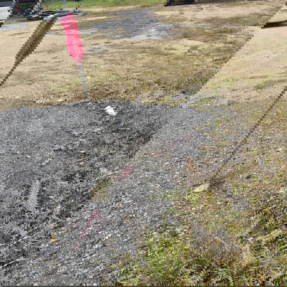 รูป ขายที่ดินหนองปลาไหล - รูปที่ 3/6