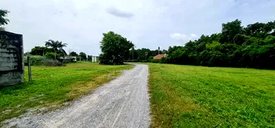 ที่ดิน ชลบุรี : ที่ดินแบ่งแยกพร้อมสร้างโครงการบ้านจัดสรร