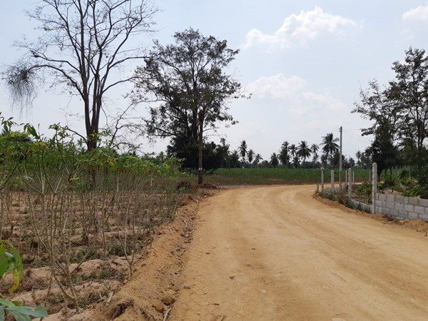 picture Huay Yai Land for Sale - 6/7