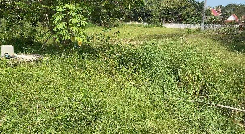 รูป ขายที่ดินเปล่าในห้วยใหญ่ เหมาะสำหรับการลงทุนและพัฒนาโครงการ - รูปที่ 3/4