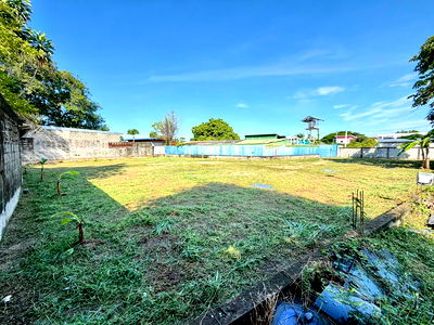 ที่ดิน ชลบุรี : ขายที่ดินในพรประภานิมิต