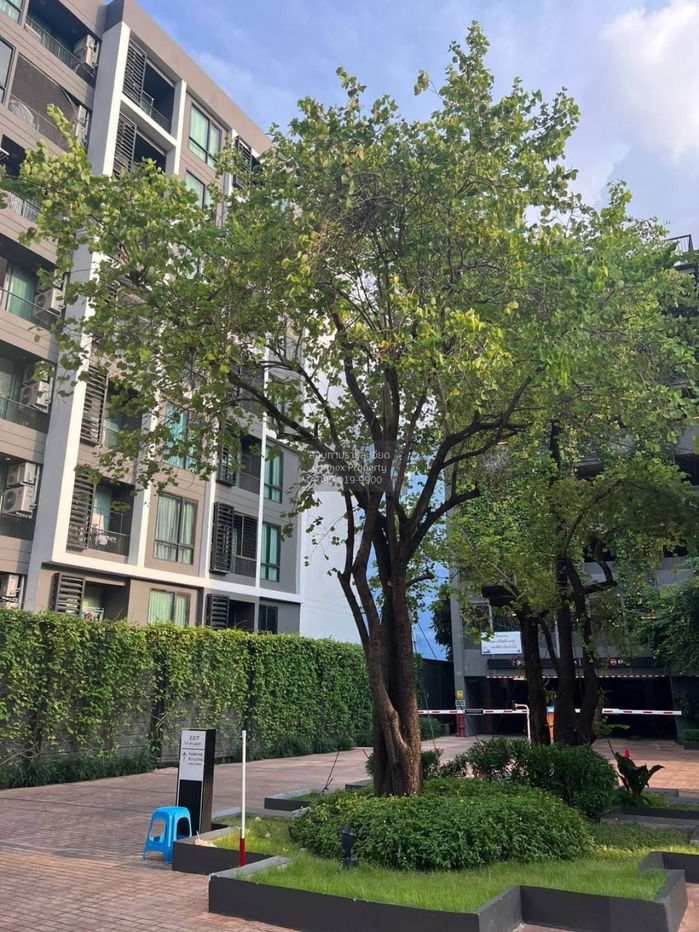 picture FOR RENT condo , Chapter One Midtown Ladprao 24 , BTS-Ha Yaek Lat Phrao , Chomphon , Chatuchak , Bangkok , CX-36338 ✅ Live chat with us ADD LINE @connexproperty ✅  - 8/8