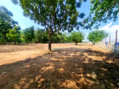 ที่ดิน ชลบุรี : ขายที่ดินสวย 5 ไร่ ที่ จอมเทียน