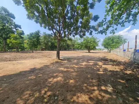 ขายที่ดินสวย 5 ไร่ ที่ จอมเทียน