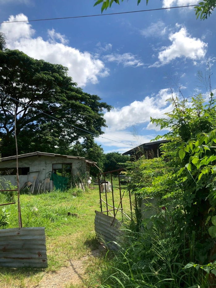 รูป ⭐ ขายที่ดินสวย 14 ไร่ พญาเย็น–ปากช่อง 🏞️✨ วิวภูเขา อากาศดี ทำเลใกล้รีสอร์ต–คาเฟ่ เหมาะพัฒนาธุรกิจ! List No.92875 - รูปที่ 4/9