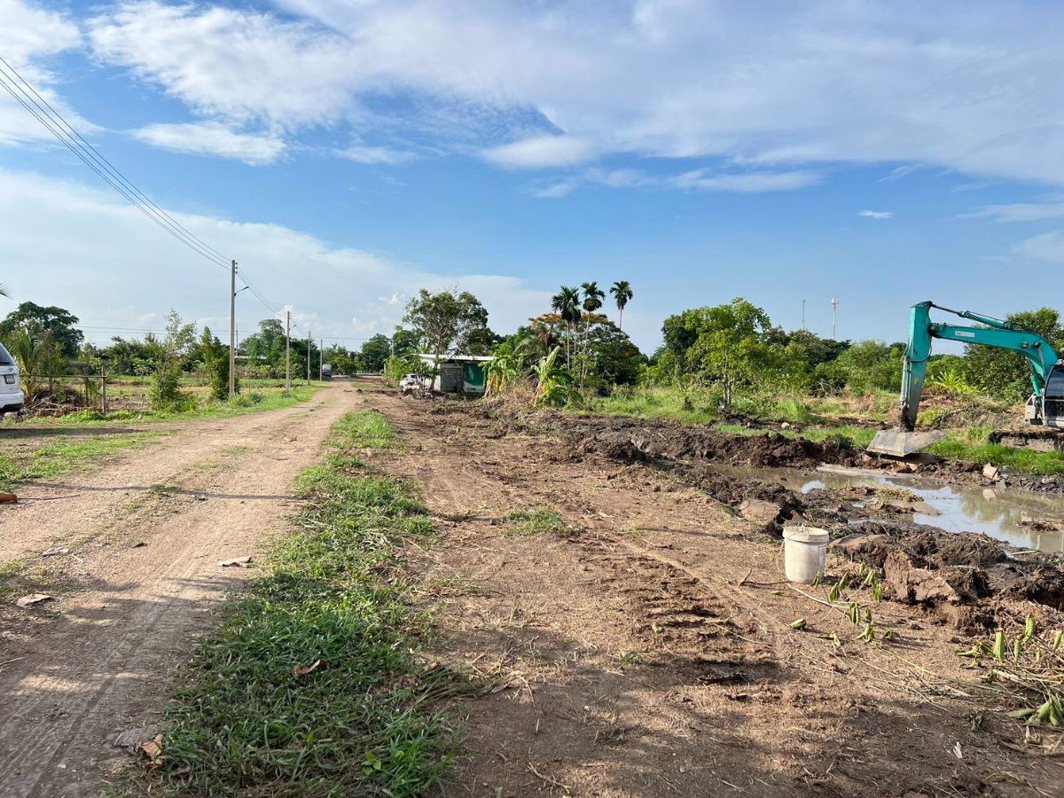 รูป ที่ดินทำเลดีเชิงเกษตรค.11หนองเสือปทุมธานีล๊อก5เพียง2ไร่1560000แบ่งชำระ12งวดใกล้อ.หนองเสือ11กมวัดไก่หอบ1.7กมตลาดเจริญกัล1กมไฟ300มน้ำหน้าแปลงฟรีโอน - รูปที่ 6/20