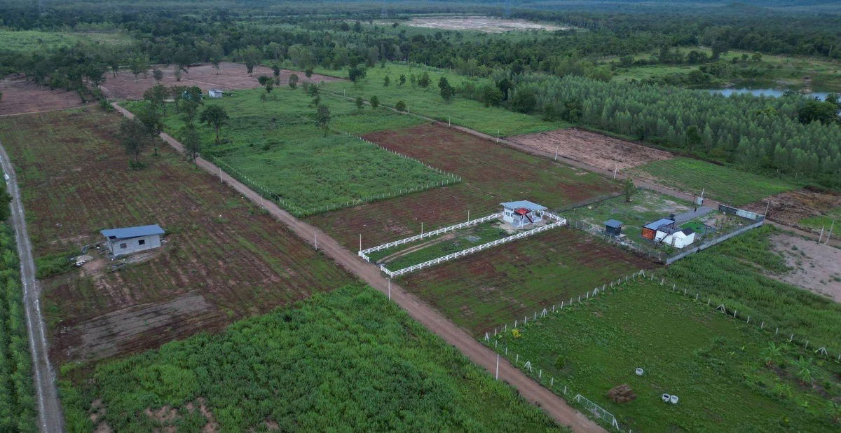 รูป ผ่อนตรงโครงการฟรีดอกไม่เช็คเครดิตเขาลูกโตๆใกล้แม่น้ำเพชร2กมเขื่อนแก่งกระจาน25นาที100ตรว399999ทำสัญญา40000ต.ท่ารวกท่ายางเพชรบุรี - รูปที่ 16/23