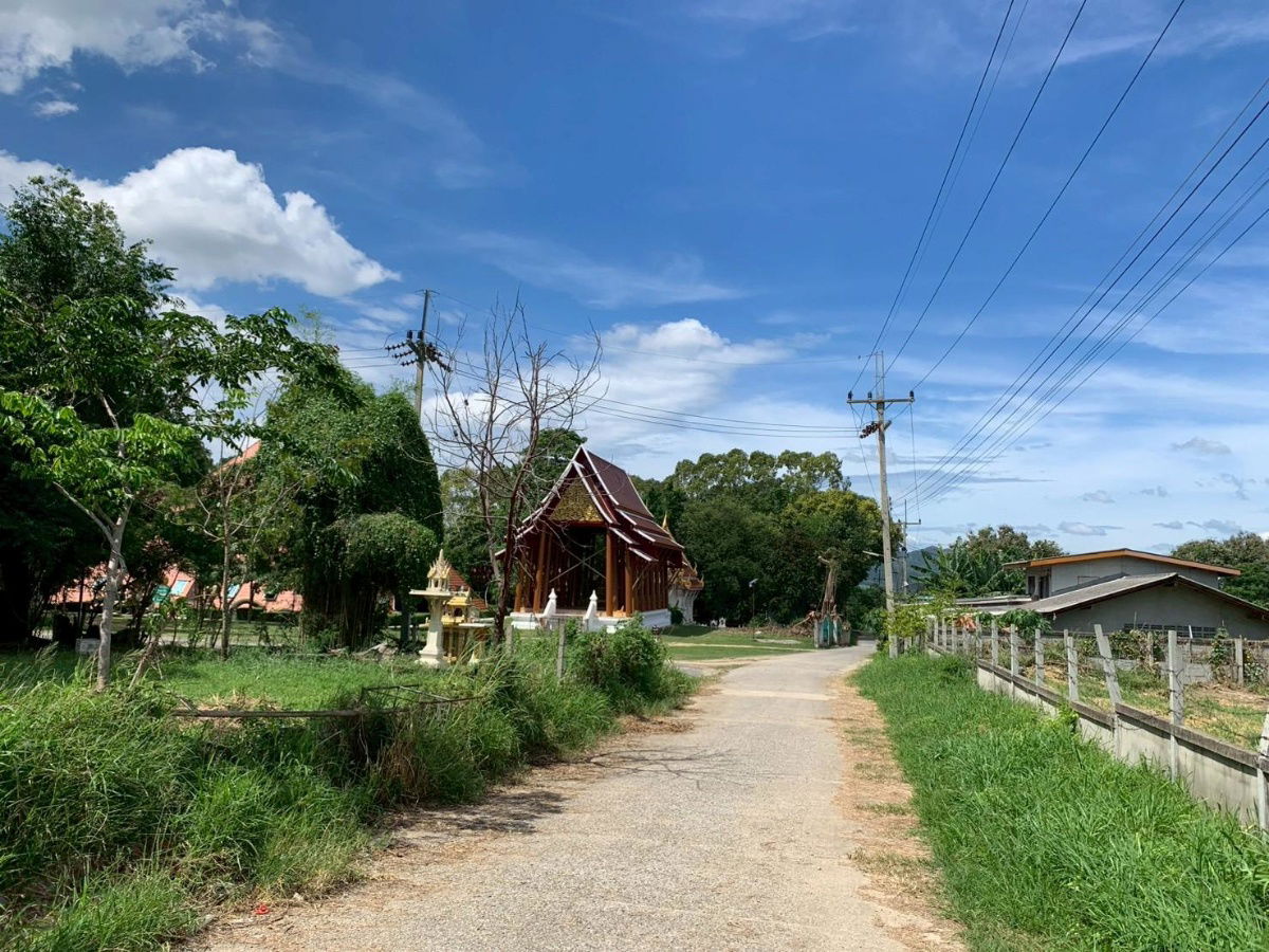 รูป ⭐ ขายที่ดินสวย 14 ไร่ พญาเย็น–ปากช่อง 🏞️✨ วิวภูเขา อากาศดี ทำเลใกล้รีสอร์ต–คาเฟ่ เหมาะพัฒนาธุรกิจ! List No.92875 - รูปที่ 8/9