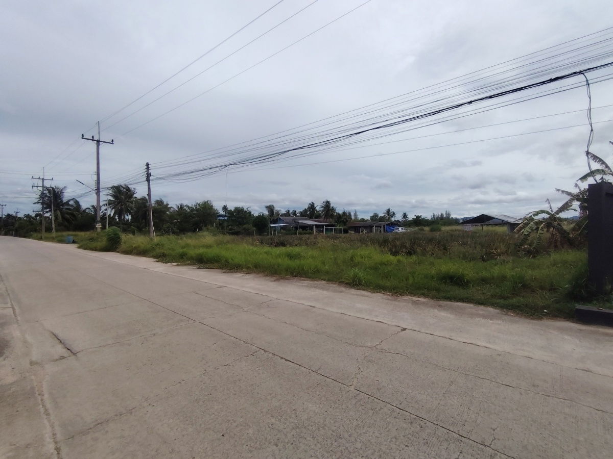 รูป ขายที่ดิน 2-0-0 ไร่ | ทำเลสะดวก ใกล้ทางหลวงหมายเลข 4 เหมาะสำหรับพัฒนาโครงการบ้านขนาดเล็ก ! - รูปที่ 2/6