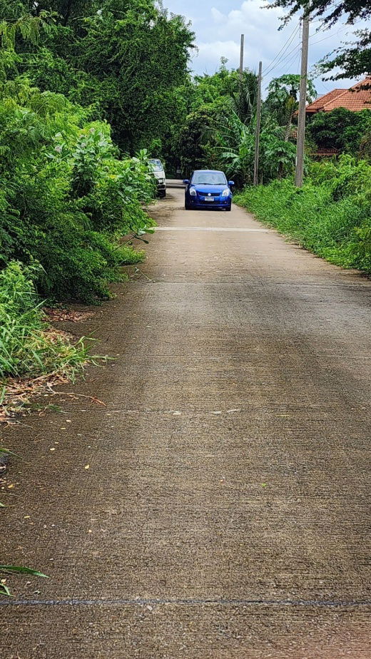 รูป ขายที่ถมแล้ว 93.6 ตรว. ใกล้สถานีรถไฟฟ้าสายสีชมพู เมืองทองธานี ต.บ้านใหม่ อ.ปากเกร็ด(ตลาดขวัญ) จ.นนทบุรี - รูปที่ 3/6