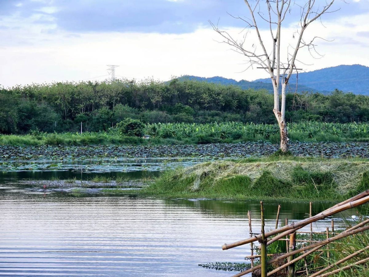 รูป บรรยากาศสุดชิว ริมน้ำห้วยตะเคียนวิวเขาลูกโต จ.เพชรบุรี100ตรวเพียง599000ผ่อน2ปีฟรีดอกจอง10000ทำสัญญา50000แถมฟรีถมแล้ว - รูปที่ 6/23