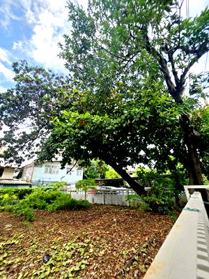 เช่าที่ดิน BTS สุรศักดิ์ : ซ.นราธิวาส 7-14 ย่านสาทร รร.อัสสัมชัญ 600 ม. BTS เซนต์หลุยส์ 900 ม. โรงแรมเจซี เควิน สาทร กรุงเทพฯ 265ม. ให้เช่าที่ดินถมแล้ว 60 ตร.วา.