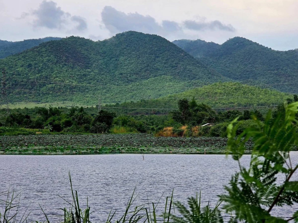 รูป บรรยากาศสุดชิว ริมน้ำห้วยตะเคียนวิวเขาลูกโต จ.เพชรบุรี100ตรวเพียง599000ผ่อน2ปีฟรีดอกจอง10000ทำสัญญา50000แถมฟรีถมแล้ว - รูปที่ 10/23