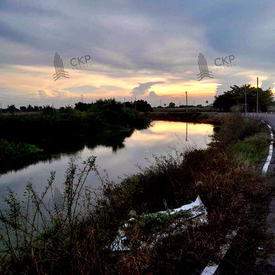 ที่ดิน อุทยานแมลง โดมแมลง กำแพงแสน : ที่ดินพร้อมบ้าน ใกล้ม.เกษตร กำแพงแสน ใกล้โลตัส กำแพงแสน ไม่ไกลจากตัวเมืองนครปฐม