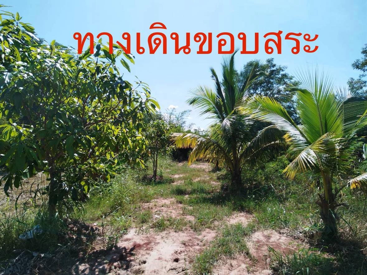 picture Land for sale (For farm and house) - 6/9