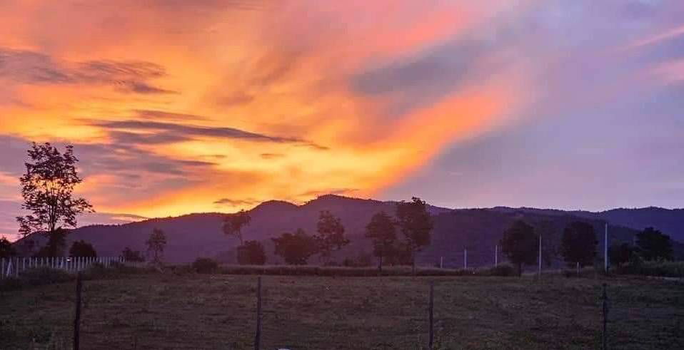 รูป ผ่อนตรงโครงการฟรีดอกไม่เช็คเครดิตเขาลูกโตๆใกล้แม่น้ำเพชร2กมเขื่อนแก่งกระจาน25นาที100ตรว399999ทำสัญญา40000ต.ท่ารวกท่ายางเพชรบุรี - รูปที่ 5/23