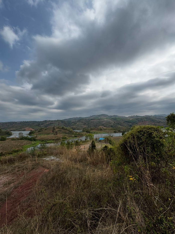 รูป ขายที่ดิน 8 ไร่ ต.โคกงาม อ.ด่านซ้าย จ.เลย ใกล้กับอ่างเก็บน้ำห้วยดอกขายที่ดินวิวภูเรือ ทำเลทอง ติดถนนใหญ่ เหมาะลงทุน รีสอร์ท–โซลาร์เซลล์ - รูปที่ 22/23