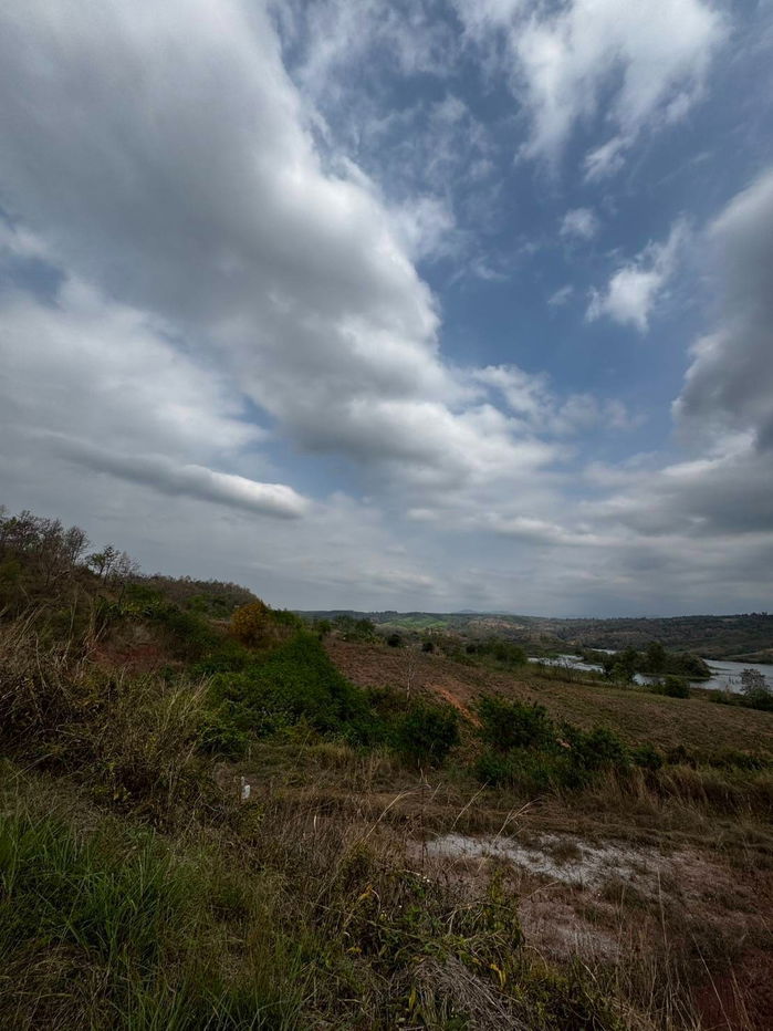 รูป ขายที่ดิน 8 ไร่ ต.โคกงาม อ.ด่านซ้าย จ.เลย ใกล้กับอ่างเก็บน้ำห้วยดอกขายที่ดินวิวภูเรือ ทำเลทอง ติดถนนใหญ่ เหมาะลงทุน รีสอร์ท–โซลาร์เซลล์ - รูปที่ 20/23