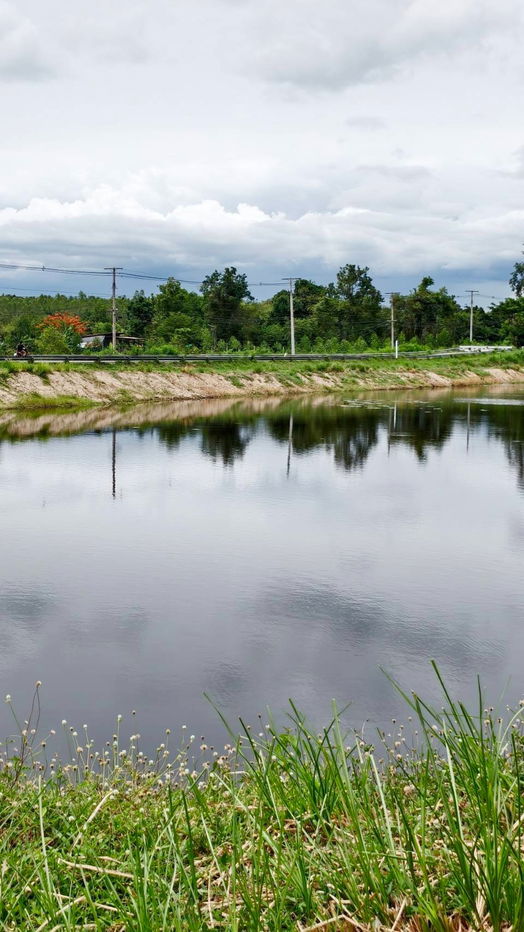 รูป บรรยากาศสุดชิว ริมน้ำห้วยตะเคียนวิวเขาลูกโต จ.เพชรบุรี100ตรวเพียง599000ผ่อน2ปีฟรีดอกจอง10000ทำสัญญา50000แถมฟรีถมแล้ว - รูปที่ 14/23