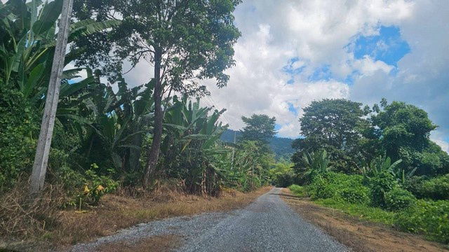 รูป TD1156 ขายที่ดินแปลงงาม ตำบลหินตั้ง อำเภอเมืองนครนายก นครนายก - รูปที่ 4/8