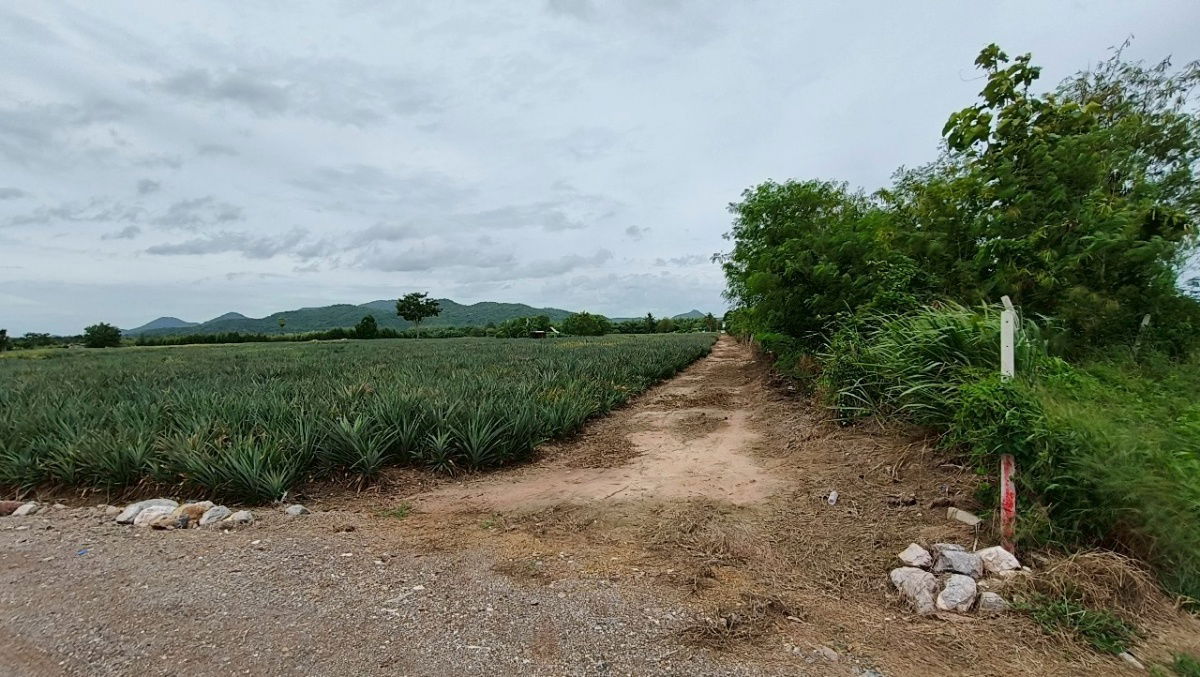 picture Lands for sale in Hua-hin 1.4 m. baht per rai - 5/10