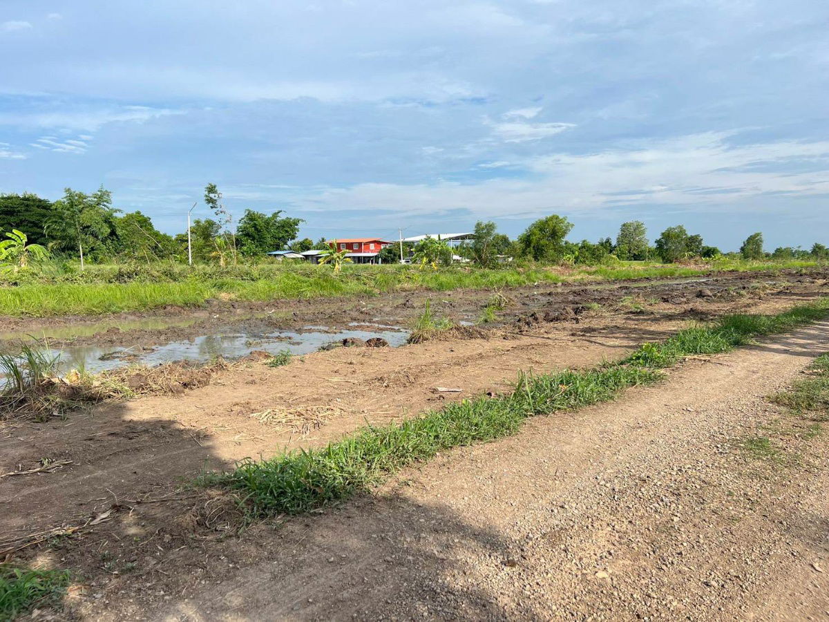 รูป ที่ดินทำเลดีเชิงเกษตรค.11หนองเสือปทุมธานีล๊อก5เพียง2ไร่1560000แบ่งชำระ12งวดใกล้อ.หนองเสือ11กมวัดไก่หอบ1.7กมตลาดเจริญกัล1กมไฟ300มน้ำหน้าแปลงฟรีโอน - รูปที่ 5/20