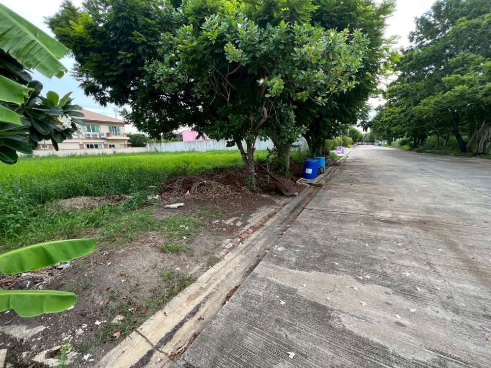 รูป ขายที่ดินเปล่าถมแล้ว หมู่บ้านกรีนวัลเล่ย์ บางนา-ตราด กม.15 แปลงสวย ทำเลดี พร้อมสร้างบ้าน - รูปที่ 5/15