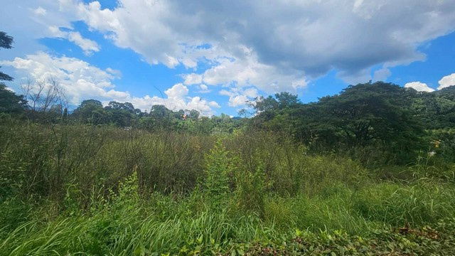 รูป TD1156 ขายที่ดินแปลงงาม ตำบลหินตั้ง อำเภอเมืองนครนายก นครนายก - รูปที่ 2/8