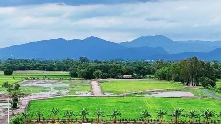 รูป ที่ดินวิวเขาดีลสุดท้ายบ้านพร้าวบ้านนานครนานก3แปลงทำเลทอง1บ้านพักต่างอากาศบ้านสวนวัยเกษียณอากาศดี1ไร่1งาน79ตรว1.1.143ล้านโซน2เงินผ่อนยาว5ปี - รูปที่ 13/23
