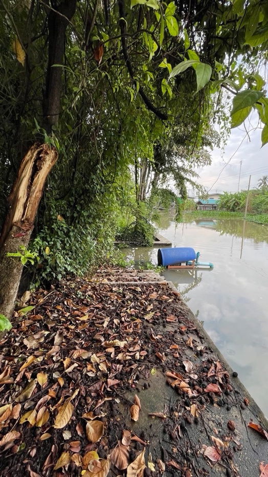 รูป ขายที่ดิน ติดแม่น้ำบางใหญ่ 8-2-13.5 ไร่ เหมาะทำ Wellness - รูปที่ 12/12