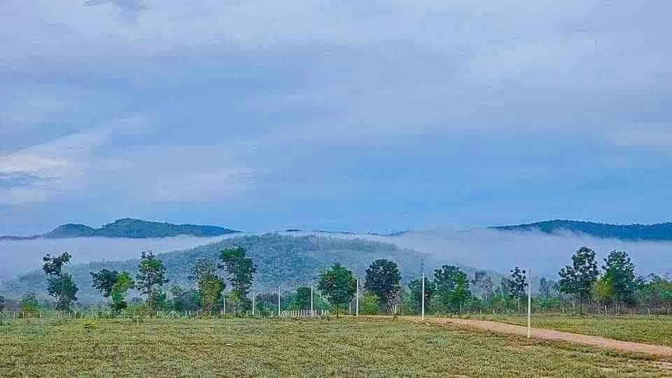 รูป ผ่อนตรงโครงการฟรีดอกไม่เช็คเครดิตเขาลูกโตๆใกล้แม่น้ำเพชร2กมเขื่อนแก่งกระจาน25นาที100ตรว399999ทำสัญญา40000ต.ท่ารวกท่ายางเพชรบุรี - รูปที่ 8/23