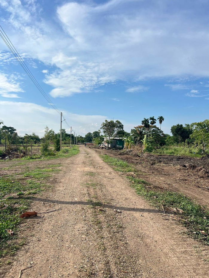 รูป ที่ดินทำเลดีเชิงเกษตรค.11หนองเสือปทุมธานีล๊อก5เพียง2ไร่1560000แบ่งชำระ12งวดใกล้อ.หนองเสือ11กมวัดไก่หอบ1.7กมตลาดเจริญกัล1กมไฟ300มน้ำหน้าแปลงฟรีโอน - รูปที่ 17/20