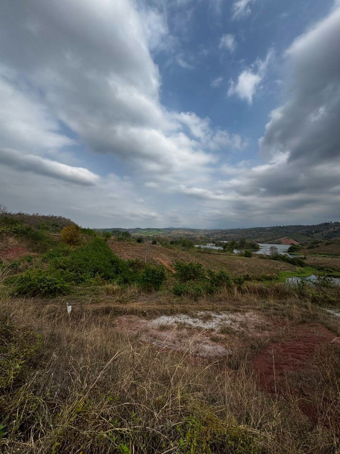 รูป ขายที่ดิน 8 ไร่ ต.โคกงาม อ.ด่านซ้าย จ.เลย ใกล้กับอ่างเก็บน้ำห้วยดอกขายที่ดินวิวภูเรือ ทำเลทอง ติดถนนใหญ่ เหมาะลงทุน รีสอร์ท–โซลาร์เซลล์ - รูปที่ 19/23