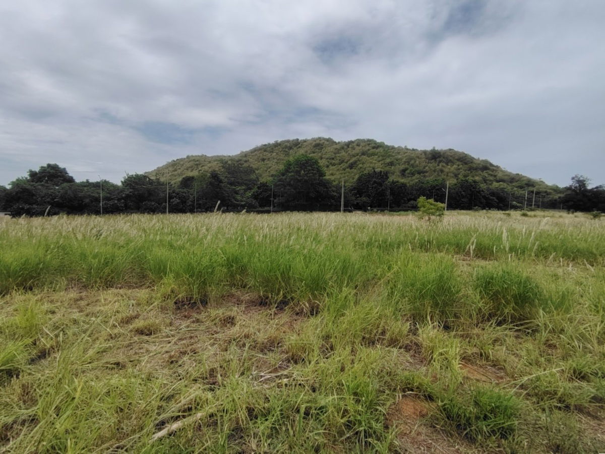 รูป ด่วน! ขายที่ดิน 5-1-44 ไร่ แปลงมุมขนาดใหญ่ ใกล้หาดปากน้ำปราณและเขากะโหลก - รูปที่ 9/9