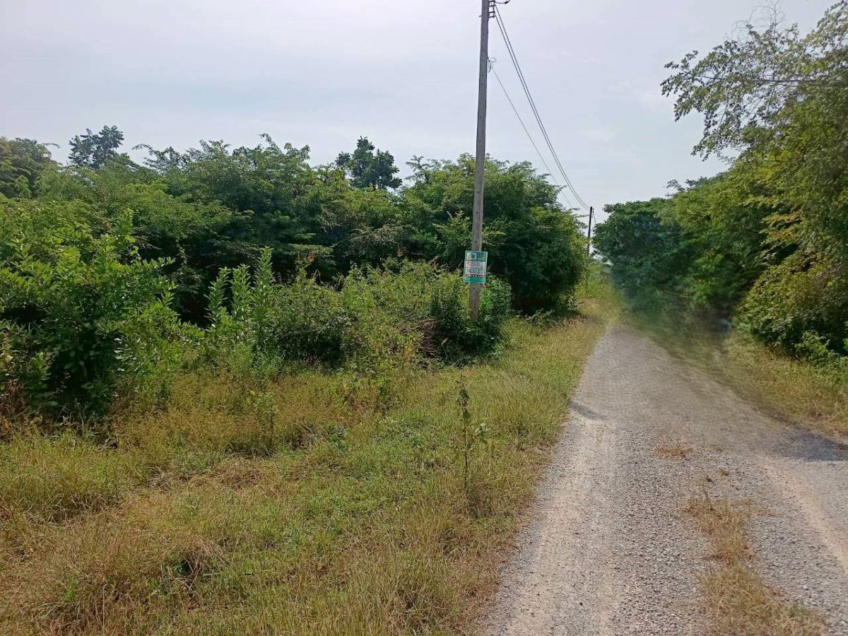 รูป 🔥 ขายที่ดินเปล่าแปลงสวย 100 ตารางวา (1 งาน) ต.หินเหล็กไฟ อ.หัวหิน จ.ประจวบคีรีขันธ์ - รูปที่ 5/5