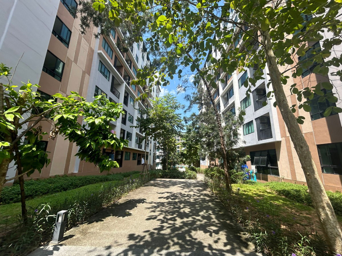 รูป JK 6440647 : จี คอนโด ชลบุรี - รูปที่ 10/29