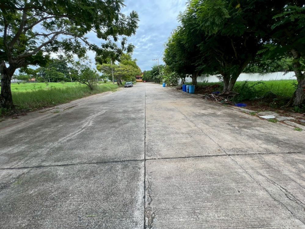 รูป ขายที่ดินเปล่าถมแล้ว หมู่บ้านกรีนวัลเล่ย์ บางนา-ตราด กม.15 แปลงสวย ทำเลดี พร้อมสร้างบ้าน - รูปที่ 10/15