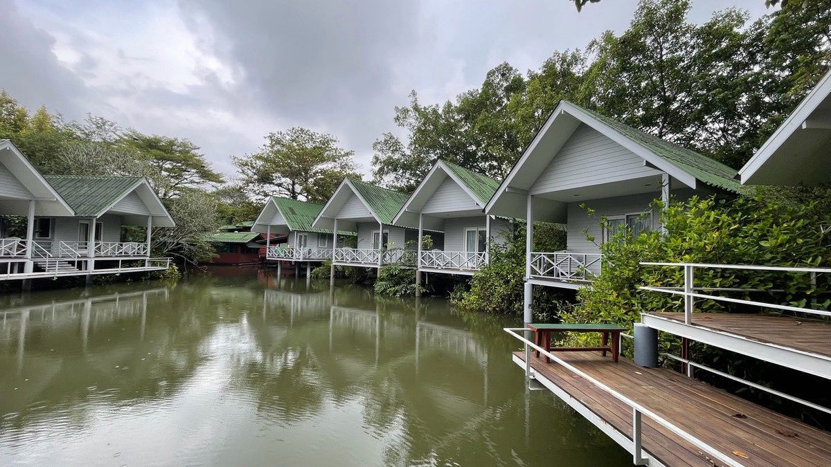 รูป ขายที่ดิน ติดแม่น้ำบางใหญ่ 8-2-13.5 ไร่ เหมาะทำ Wellness - รูปที่ 10/12