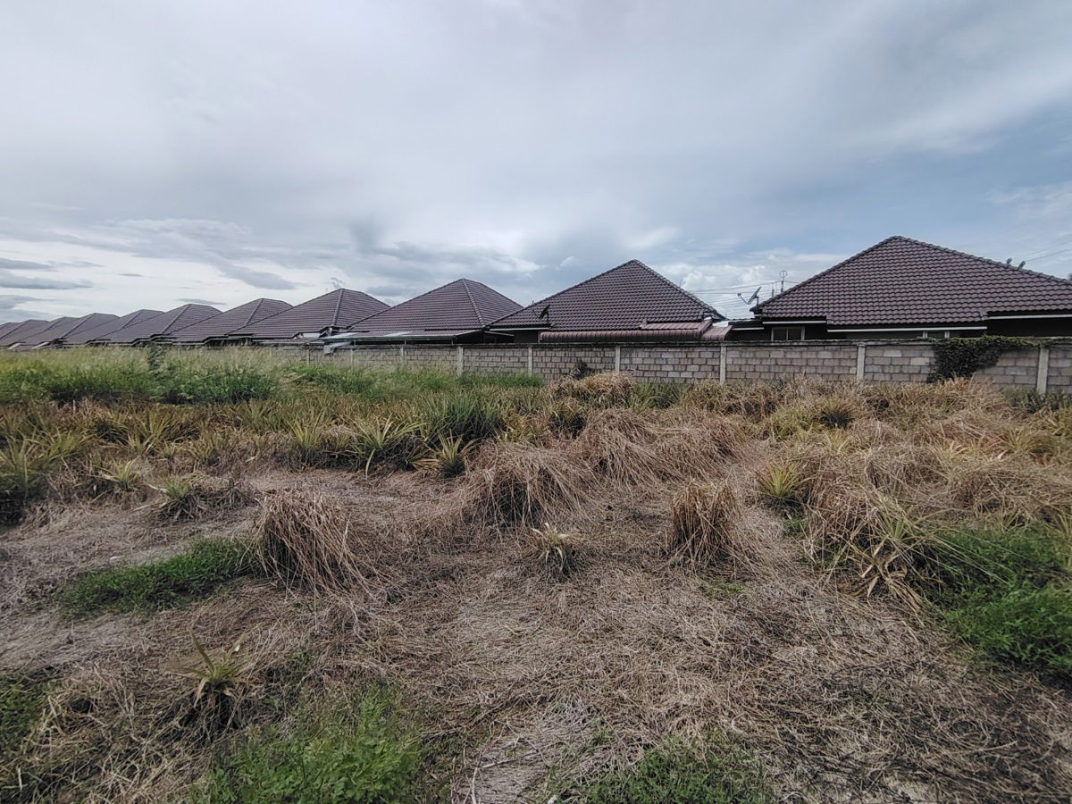 รูป ขายที่ดิน 2-0-0 ไร่ | ทำเลสะดวก ใกล้ทางหลวงหมายเลข 4 เหมาะสำหรับพัฒนาโครงการบ้านขนาดเล็ก ! - รูปที่ 6/6