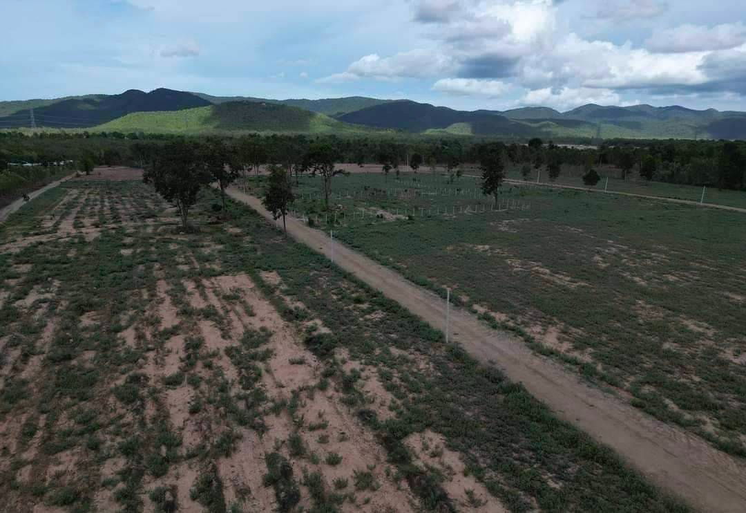 รูป ผ่อนตรงโครงการฟรีดอกไม่เช็คเครดิตเขาลูกโตๆใกล้แม่น้ำเพชร2กมเขื่อนแก่งกระจาน25นาที100ตรว399999ทำสัญญา40000ต.ท่ารวกท่ายางเพชรบุรี - รูปที่ 3/23