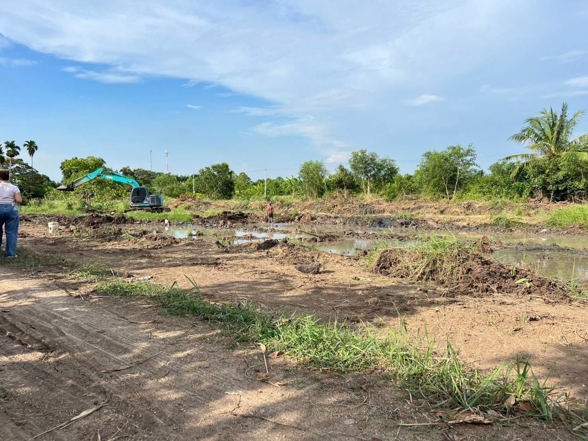 รูป ที่ดินทำเลดีเชิงเกษตรค.11หนองเสือปทุมธานีล๊อก5เพียง2ไร่1560000แบ่งชำระ12งวดใกล้อ.หนองเสือ11กมวัดไก่หอบ1.7กมตลาดเจริญกัล1กมไฟ300มน้ำหน้าแปลงฟรีโอน - รูปที่ 11/20