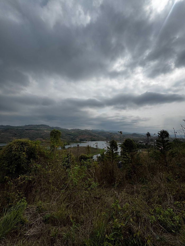 รูป ขายที่ดิน 8 ไร่ ต.โคกงาม อ.ด่านซ้าย จ.เลย ใกล้กับอ่างเก็บน้ำห้วยดอกขายที่ดินวิวภูเรือ ทำเลทอง ติดถนนใหญ่ เหมาะลงทุน รีสอร์ท–โซลาร์เซลล์ - รูปที่ 21/23