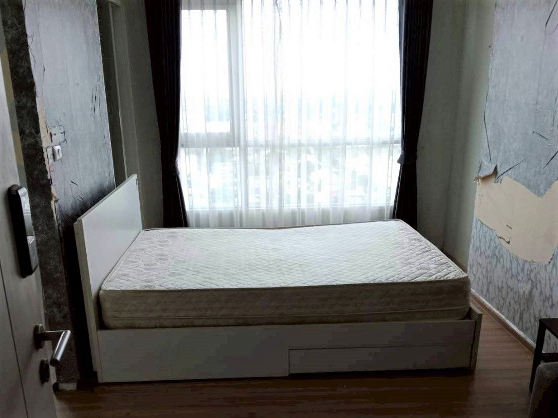 รูป JK 5574758 : ฟิวส์ เซนเซ่ บางแค - รูปที่ 22/25