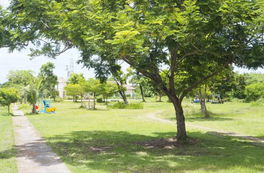 รูป Baan Tipamas Seri - Bang Na - รูปที่ 4/5