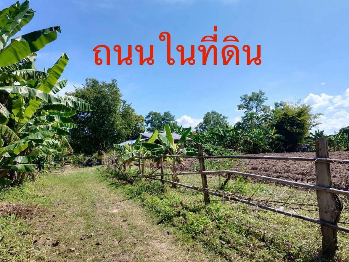 picture Land for sale (For farm and house) - 7/9