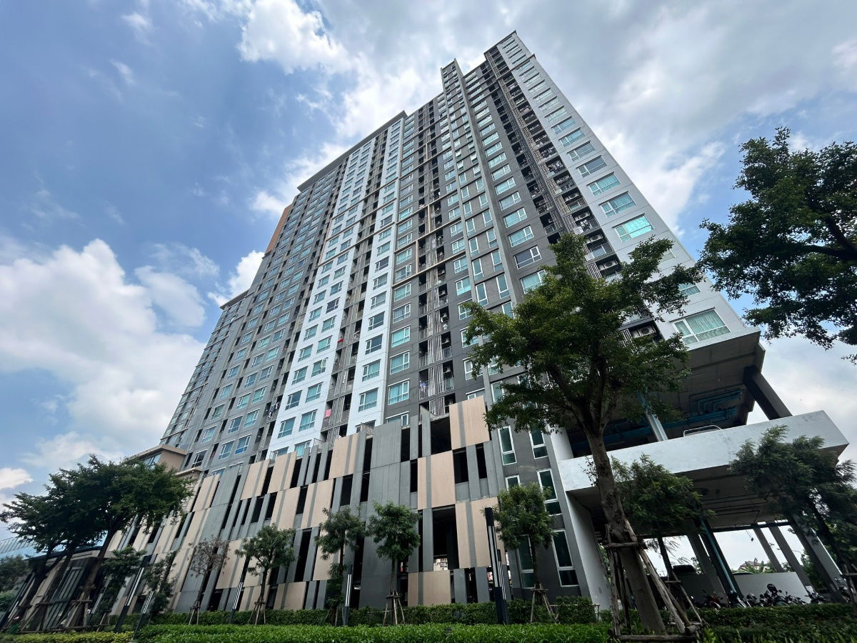 รูป JK 5574758 : ฟิวส์ เซนเซ่ บางแค - รูปที่ 12/25