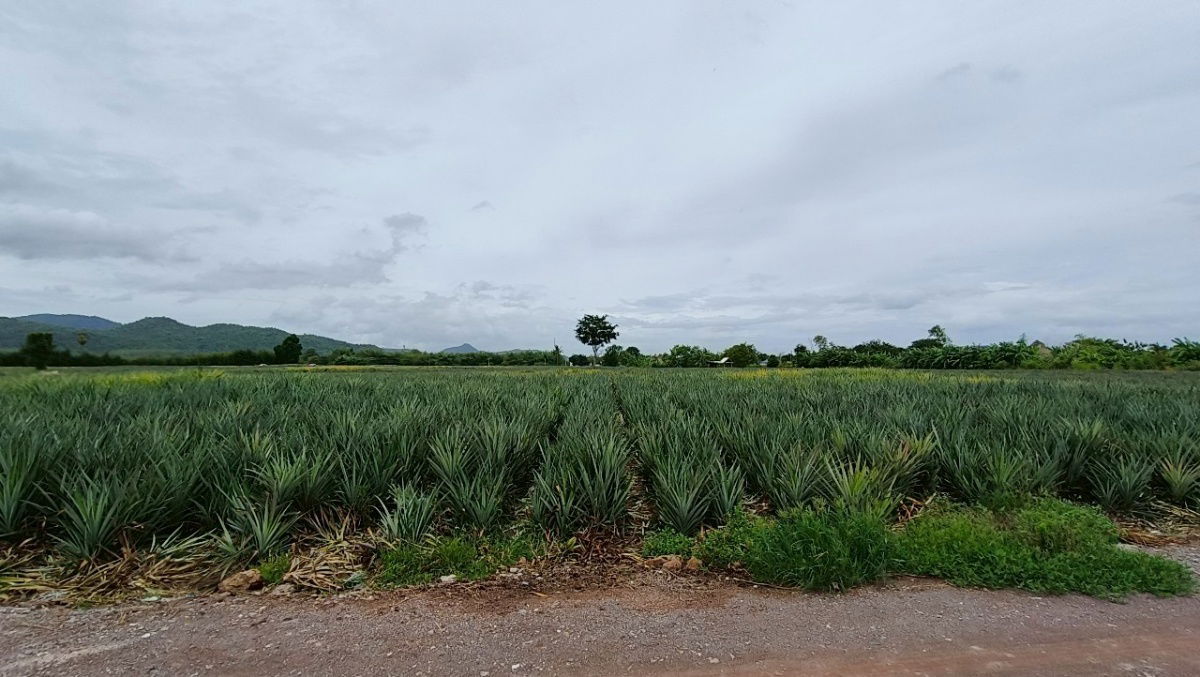 picture Lands for sale in Hua-hin 1.4 m. baht per rai - 4/10