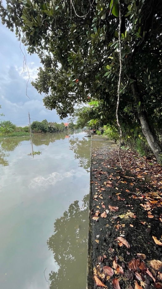 รูป ขายที่ดิน ติดแม่น้ำบางใหญ่ 8-2-13.5 ไร่ เหมาะทำ Wellness - รูปที่ 9/12