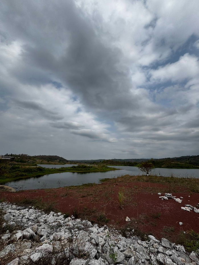รูป ขายที่ดิน 8 ไร่ ต.โคกงาม อ.ด่านซ้าย จ.เลย ใกล้กับอ่างเก็บน้ำห้วยดอกขายที่ดินวิวภูเรือ ทำเลทอง ติดถนนใหญ่ เหมาะลงทุน รีสอร์ท–โซลาร์เซลล์ - รูปที่ 17/23